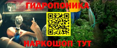шишки Комсомольск-на-Амуре