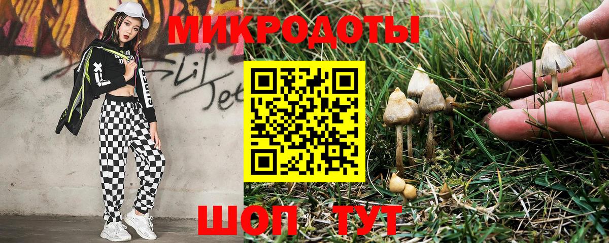 Псилоцибиновые грибы Psilocybine cubensis  Вход с VPN  Качканар 